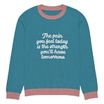 CLPT - Knitted crew neck sweater